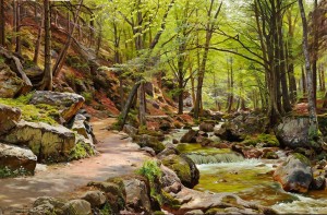 A walk on the path in the forest